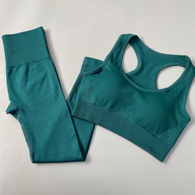 Seamless Women Yoga Set