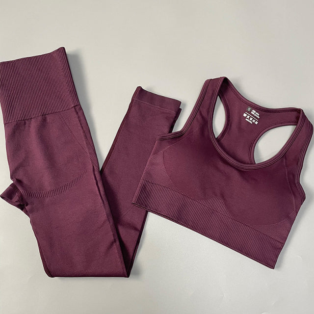 Seamless Women Yoga Set