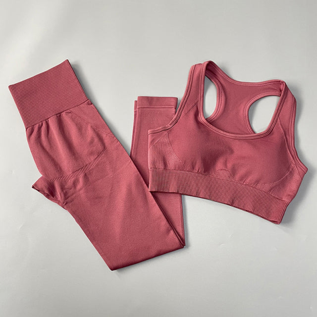 Seamless Women Yoga Set