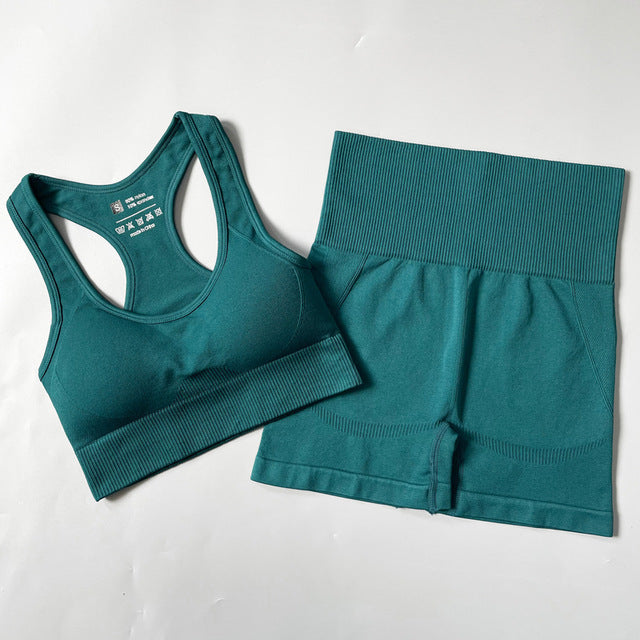 Seamless Women Yoga Set