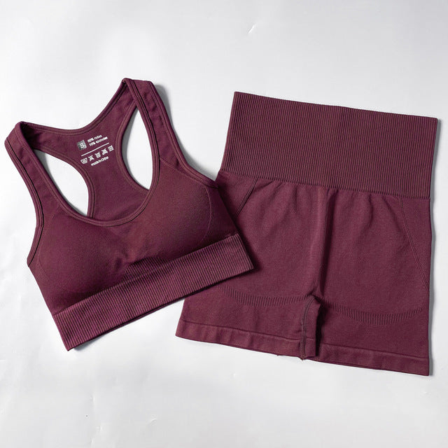 Seamless Women Yoga Set