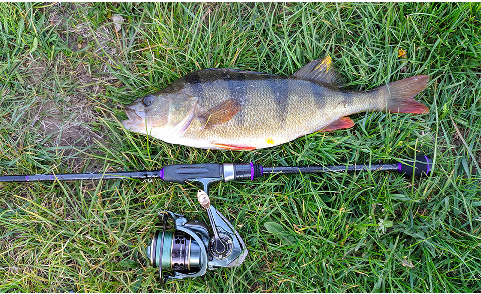 TSURINOYA 2 Spool Spinning Fishing Reel