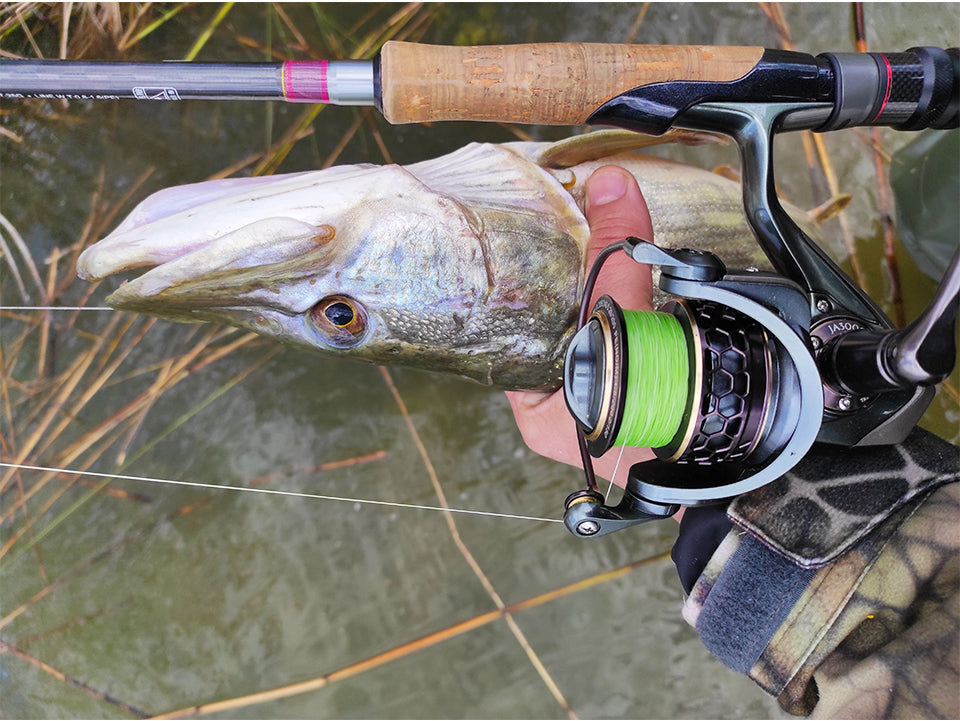 TSURINOYA 2 Spool Spinning Fishing Reel