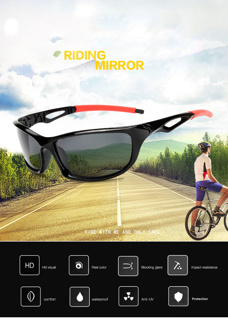 Polarized Sunglasses