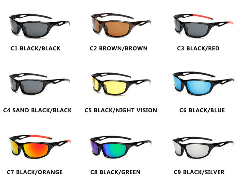 Polarized Sunglasses